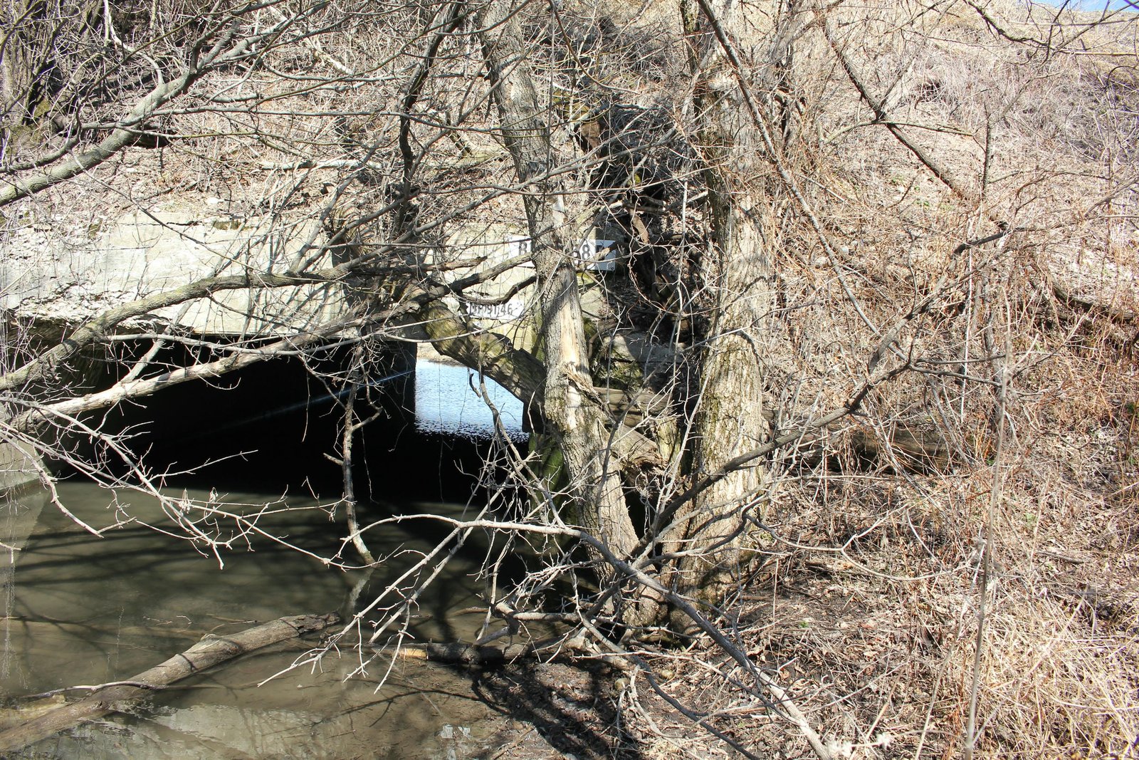 East abutment, adjacent Bridge #A-508B